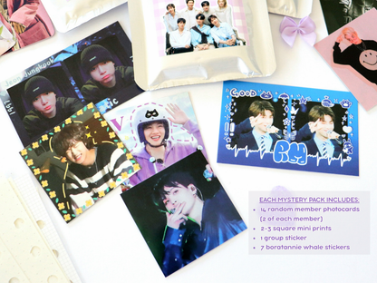 Bangtan Mini Mystery Packs - Bloom With Luv x Starlust Shop Collab